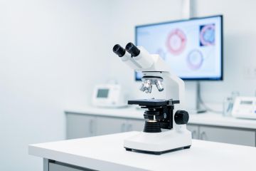 Infertility Treatment in Turkey: IVF Planning, Tests, and Timelines