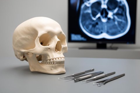 A detailed anatomical human skull model and silver dental instruments are arranged on a gray surface. In the blurred background, a medical monitor displays a blue-toned CT scan, creating a clinical atmosphere. This image captures themes of dentistry, medical education, oral anatomy, and radiology.