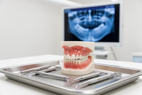 A realistic dental model of teeth and gums sits on a metal tray with professional dental tools in a clinical setting. The background features a blurred computer monitor displaying a panoramic dental X-ray, illustrating a modern dental office environment focused on oral health examination and diagnostics.